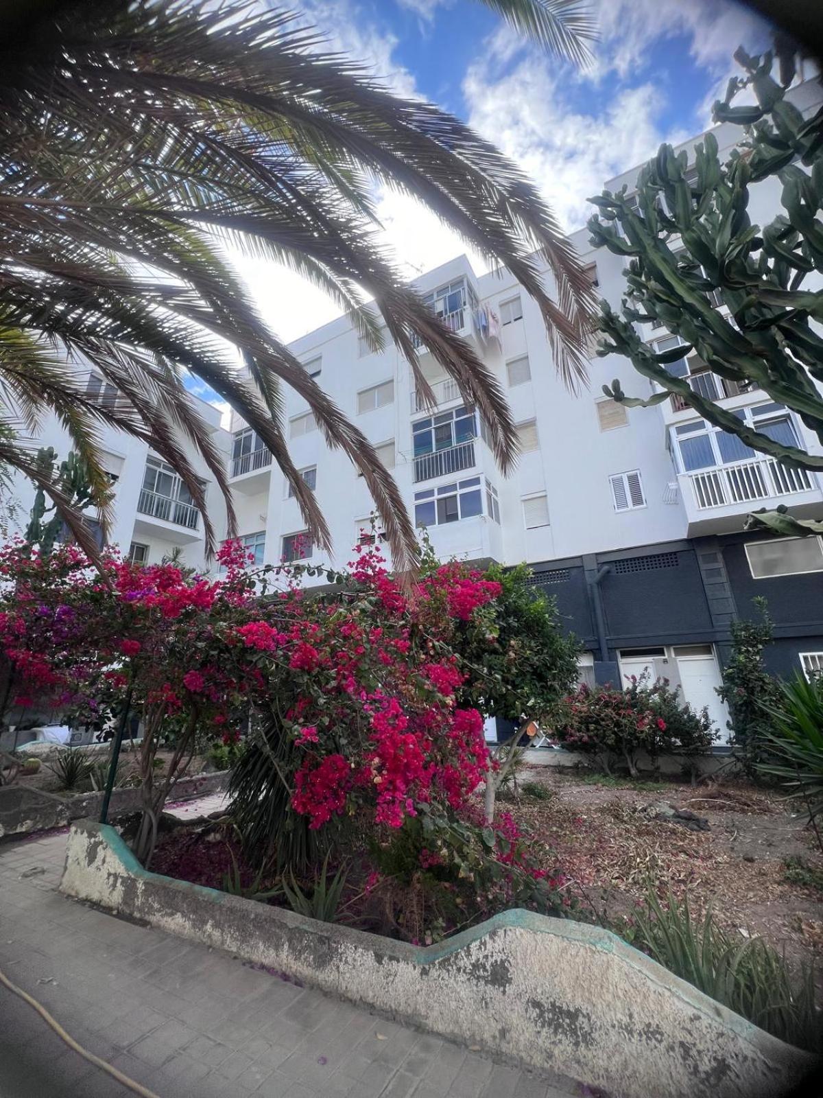 Relax Park 1 Apartment Las Palmas de Gran Canaria Ngoại thất bức ảnh